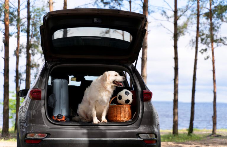 Adventuring with Your Furry Pals: An Ultimate Guide